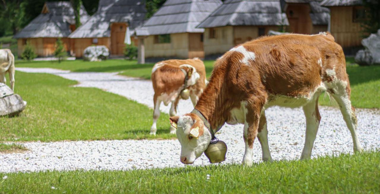 Slovenia Eco Resort Stahovica Exterior foto
