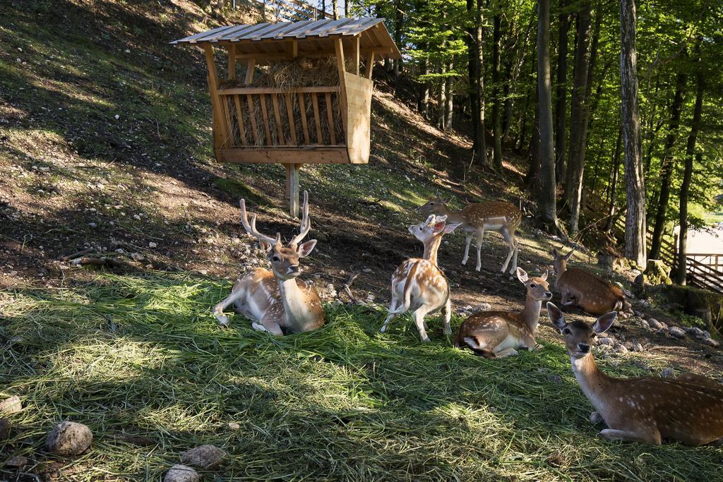 Slovenia Eco Resort Stahovica Exterior foto